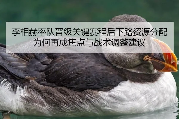 李相赫率队晋级关键赛程后下路资源分配为何再成焦点与战术调整建议