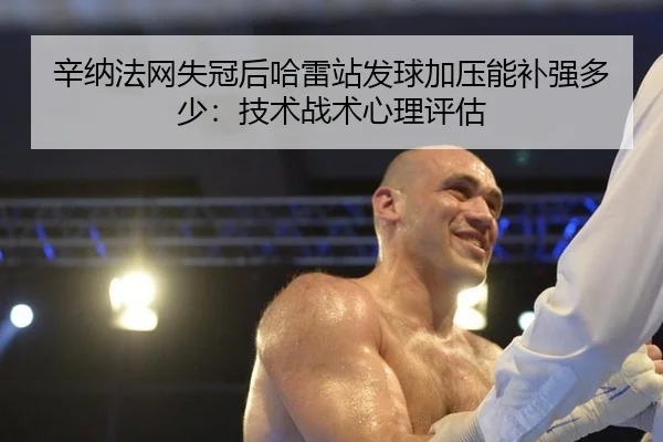 辛纳法网失冠后哈雷站发球加压能补强多少：技术战术心理评估